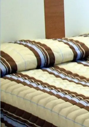 فندق De Nemours باريس