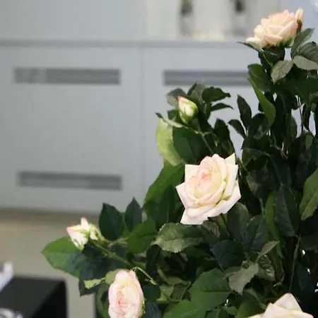 فندق De Nemours باريس