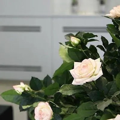 Отель De Nemours Париж